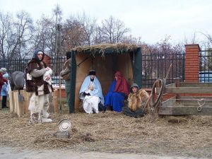 manger scene, advent, nativity scene